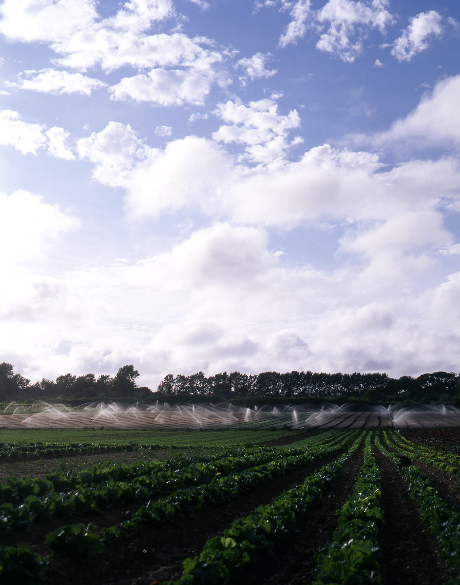 More_SaturFarm_FieldwSprinklers_Crop_APF